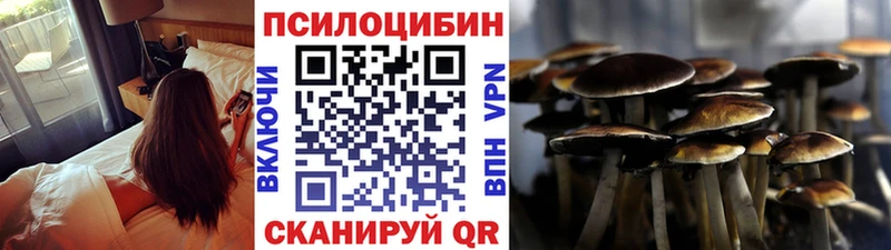 даркнет сайт  Балашиха  Галлюциногенные грибы Magic Shrooms 