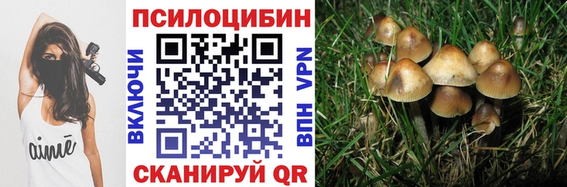 Псилоцибиновые грибы Psilocybine cubensis Балашиха